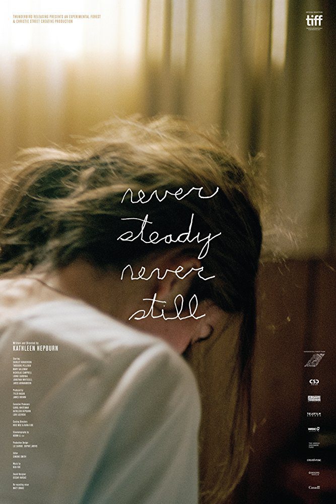 Poster of Never Steady, Never Still - 