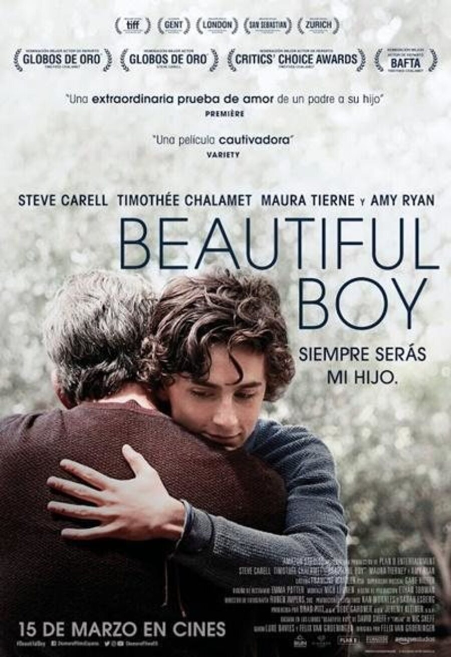 Poster of Beautiful Boy - Póster español