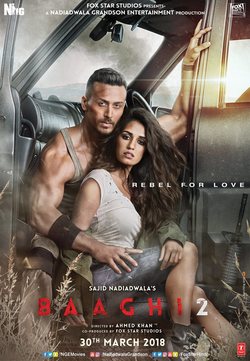 Poster Baaghi 2