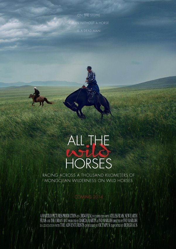 Poster of All the Wild Horses - 
