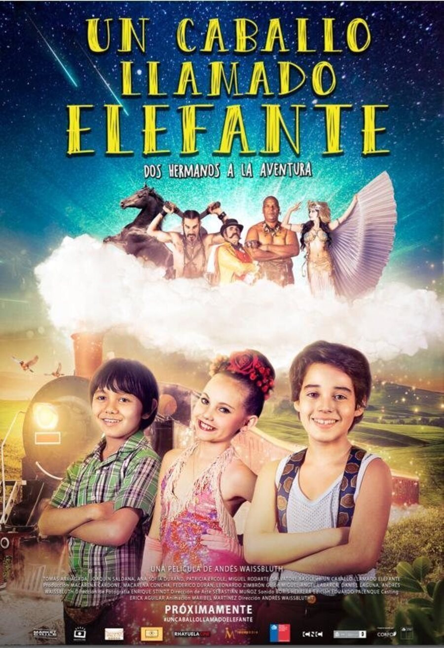 Poster of Un Caballo Llamado Elefante - póster