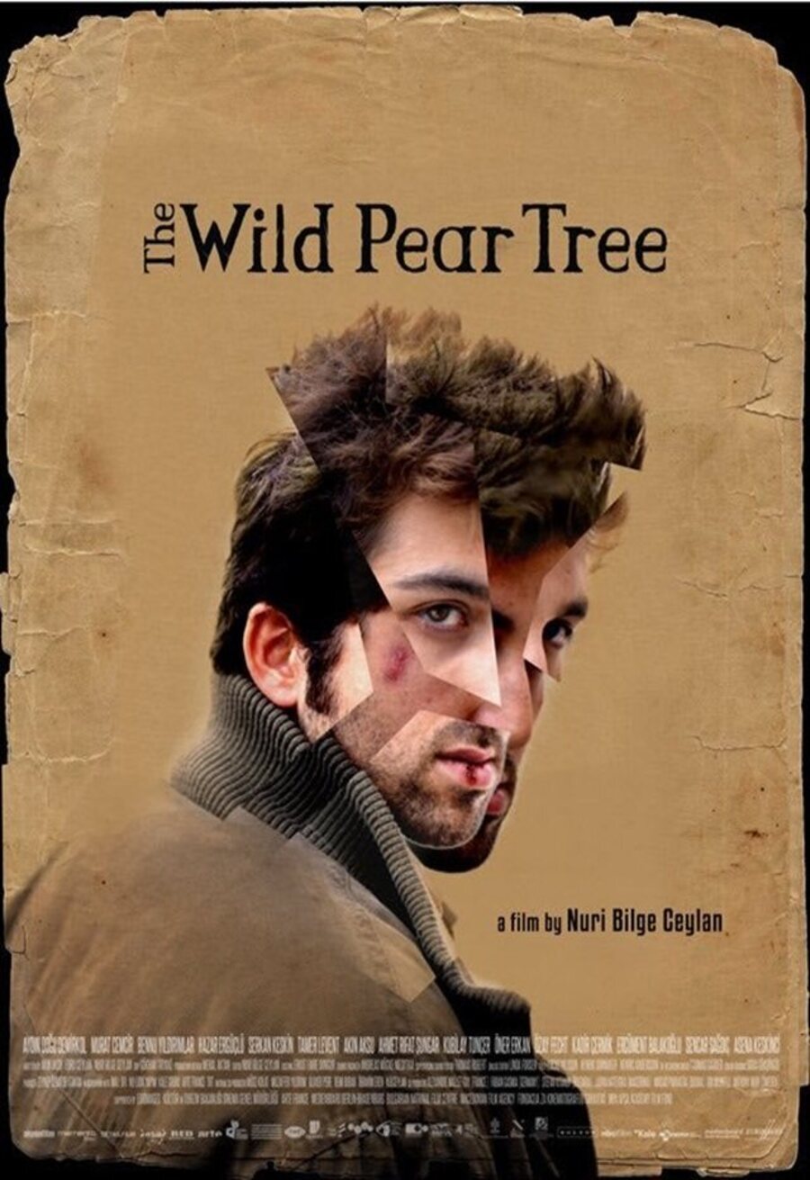 Poster of The Wild Pear Tree - Internacional
