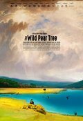 Poster The Wild Pear Tree