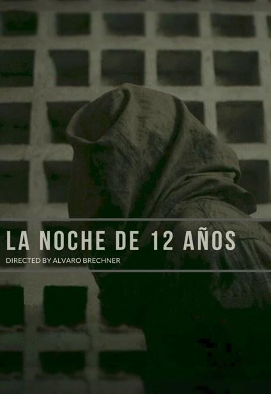 Poster of La noche de 12 años - Cartel