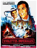 Poster Violettes impériales