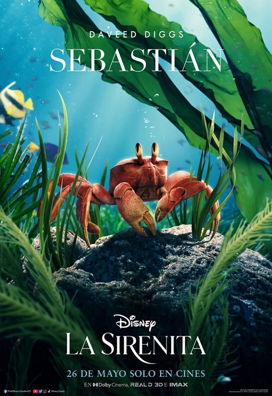 Poster of The Little Mermaid - Sebastián