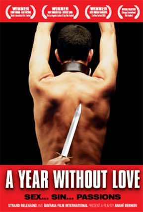 Poster of A Year Without Love - Cartel internacional