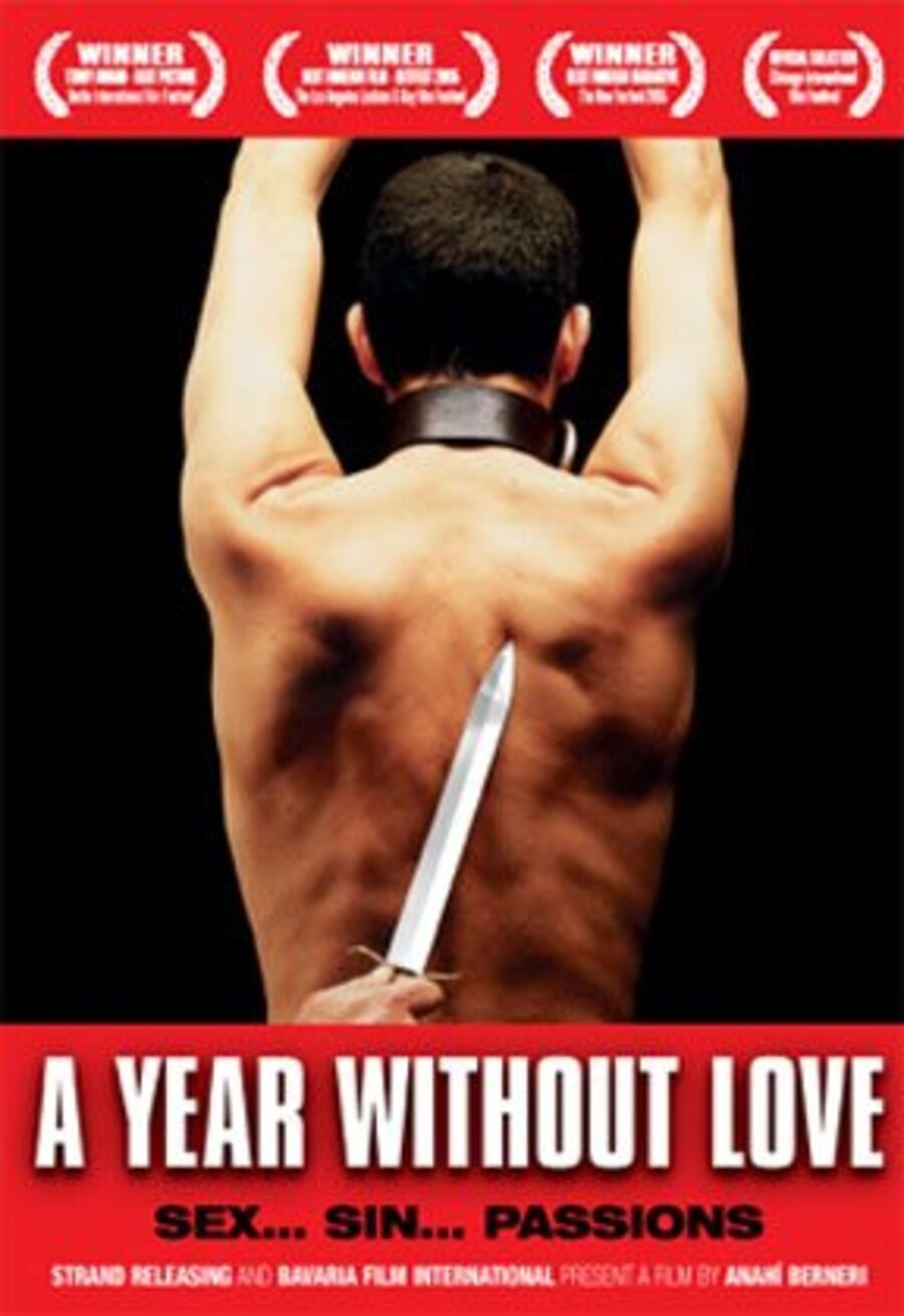 Poster of A Year Without Love - Cartel internacional