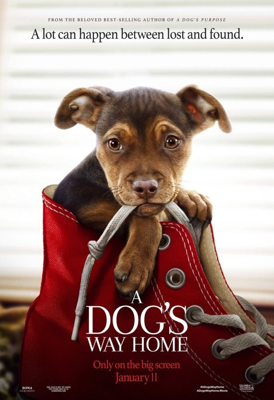 Poster of A Dog's Way Home - Póster Oficial