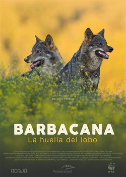 Poster Barbacana, la huella del lobo