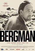 Poster Bergman, a year in a life