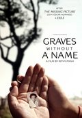 Poster Graves Without a Name