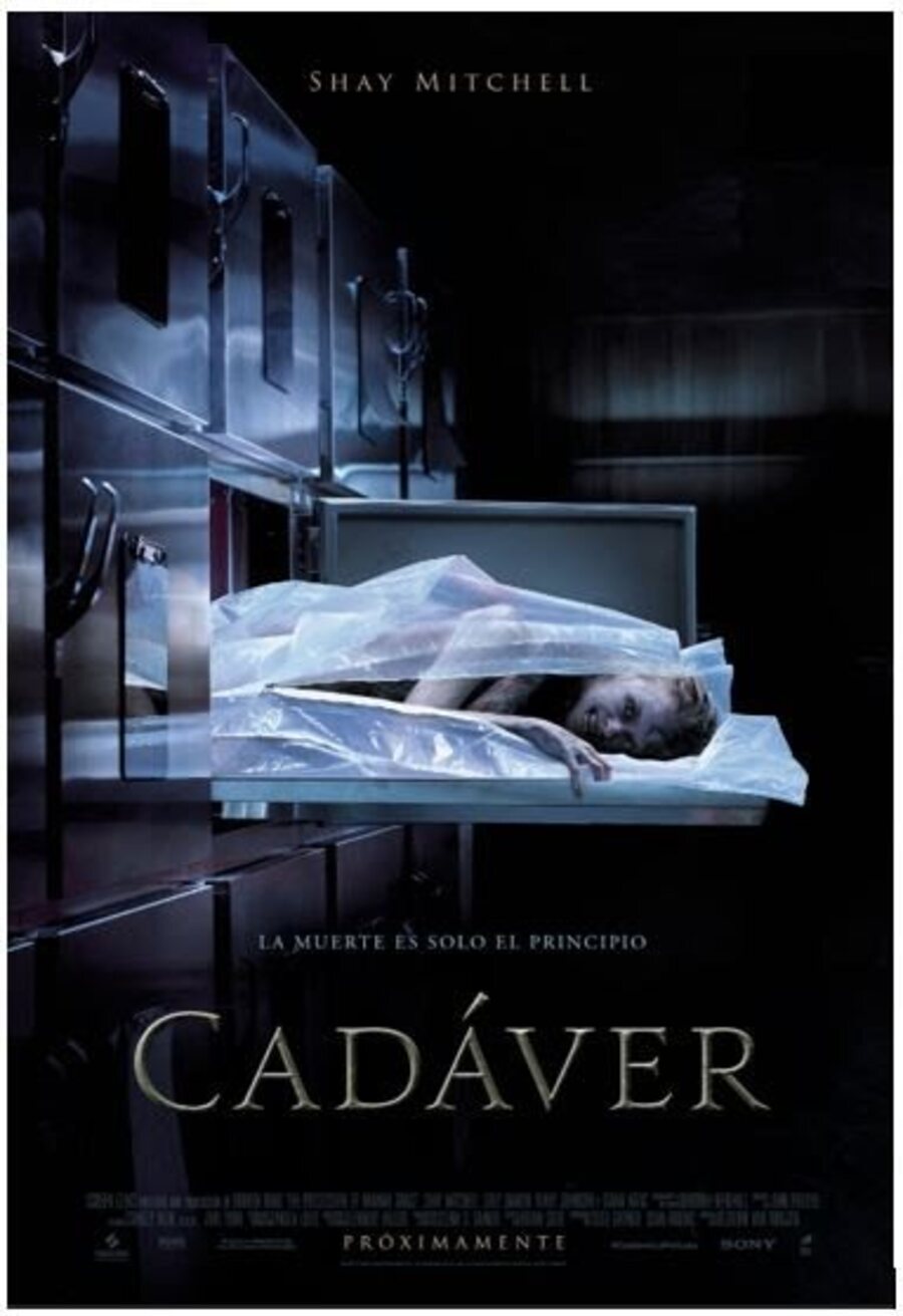 Poster of The Possession of Hannah Grace - Cadáver