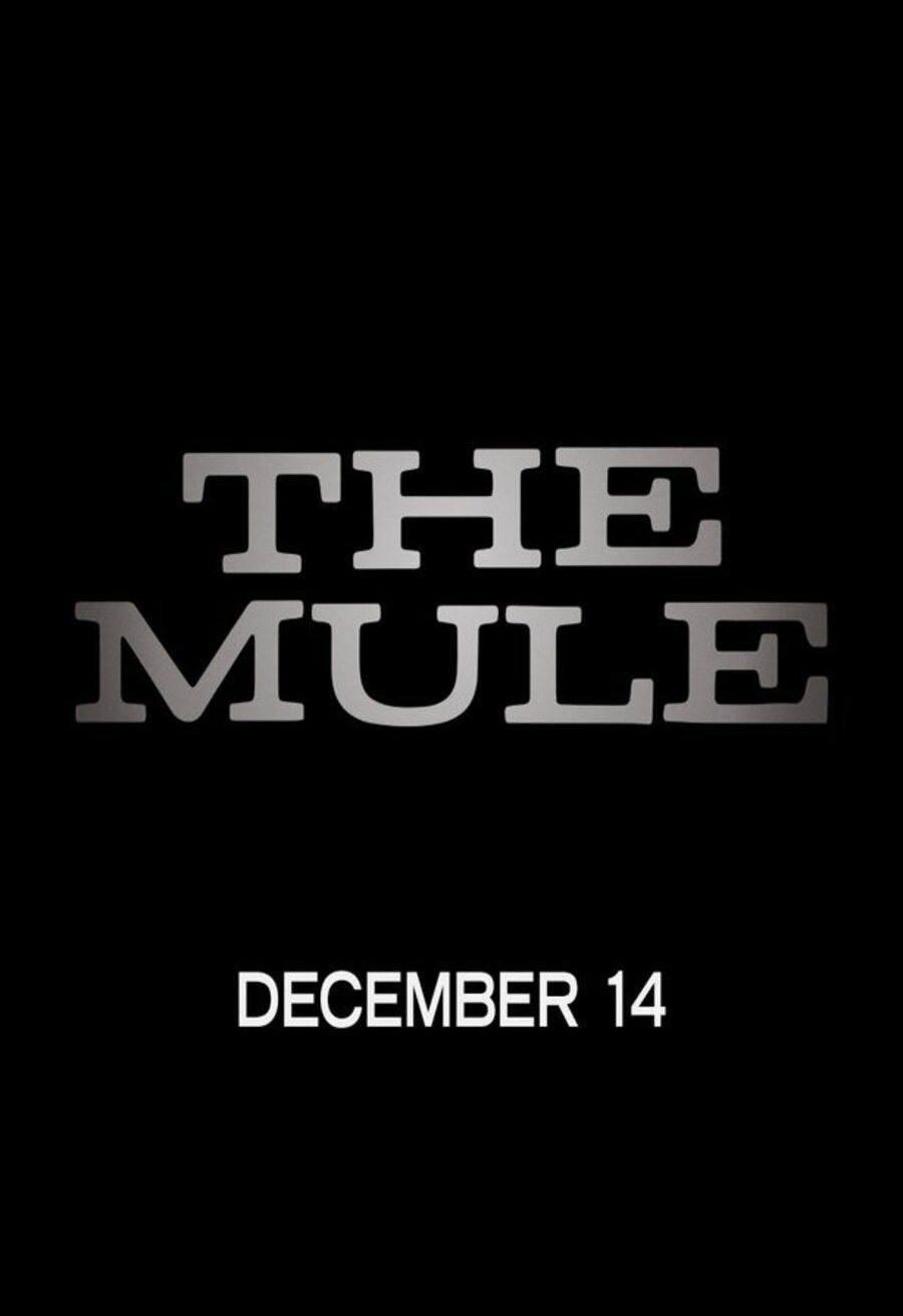 Poster of The Mule - The Mule