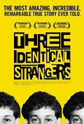 Poster Three Identical Strangers