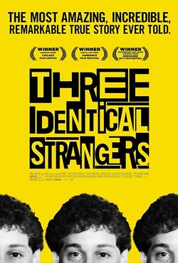 Poster 'Three Identical Strangers'