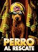 Firehouse Dog