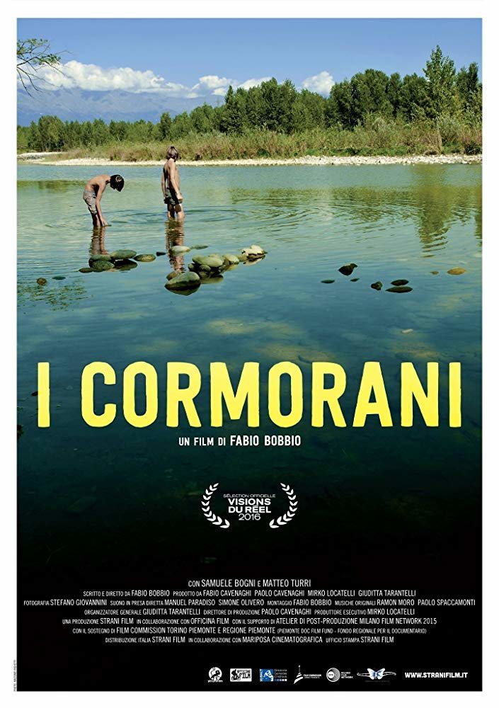 Poster of The Cormorants - #1