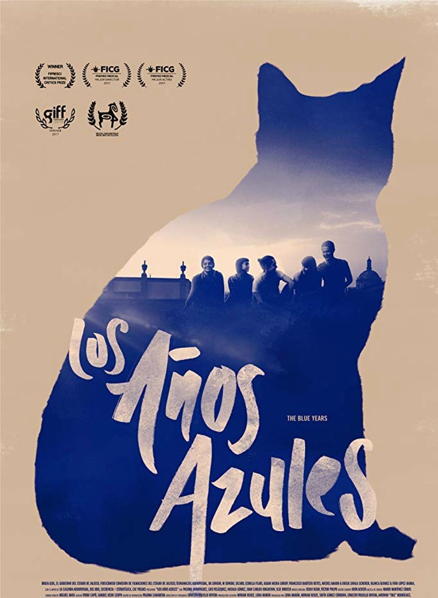 Poster of The blue years - Los años azules