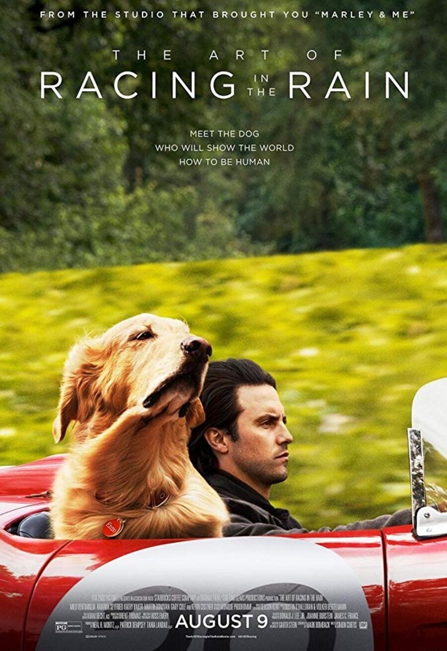 Poster of The Art of Racing in the Rain - Internacional