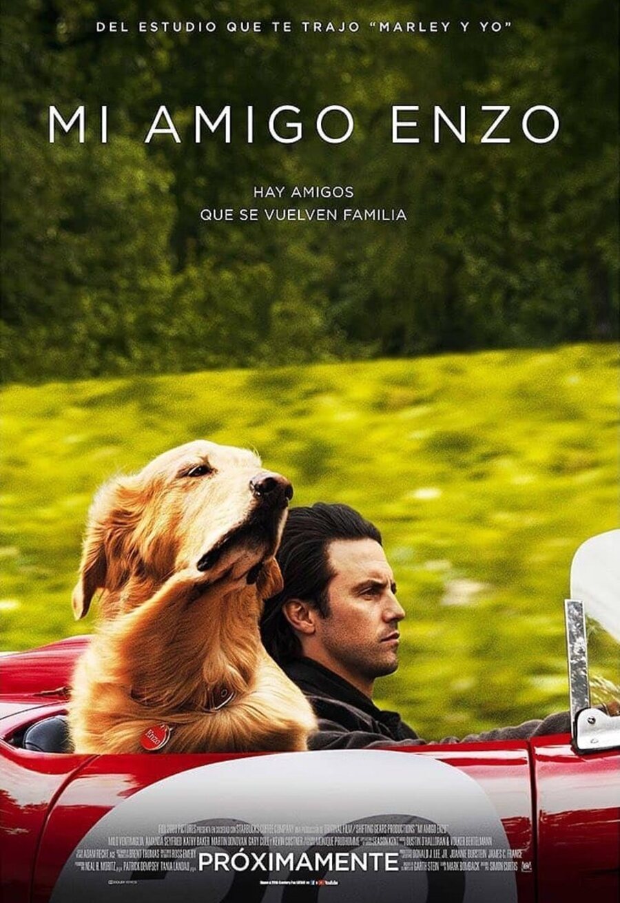 Poster of The Art of Racing in the Rain - México #1