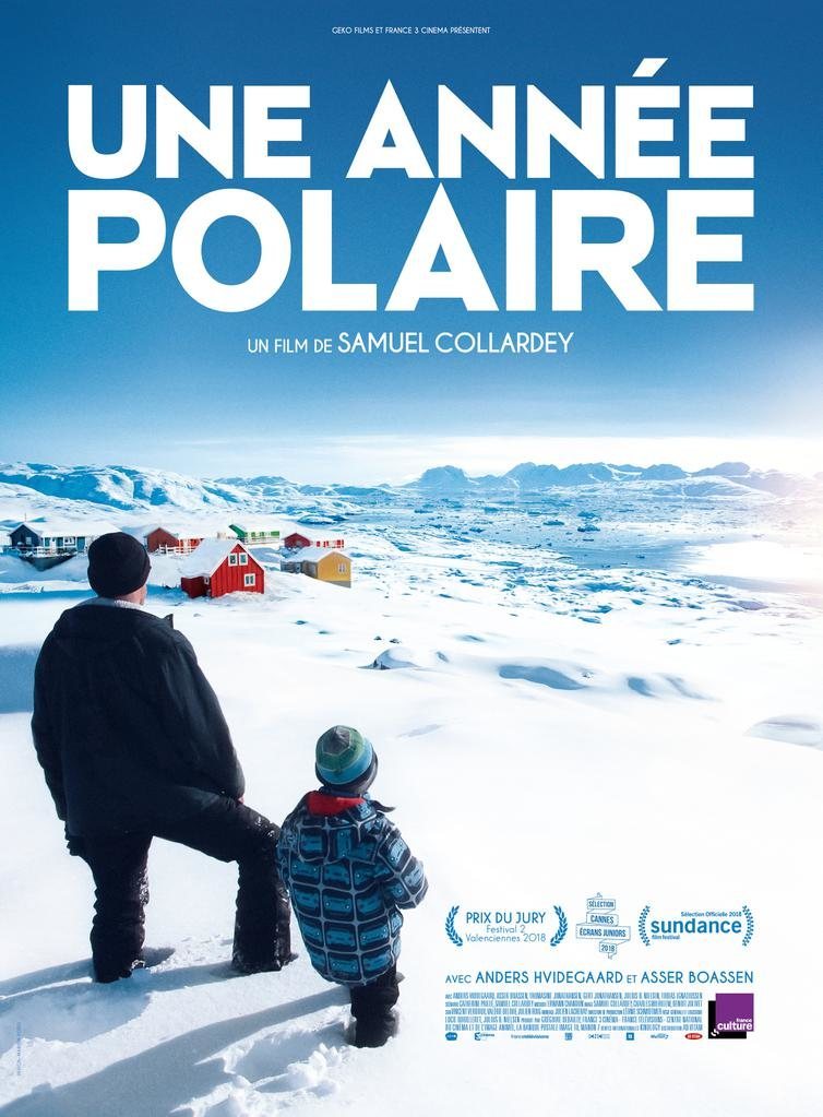 Poster of A Polar Year - Póster Internacional
