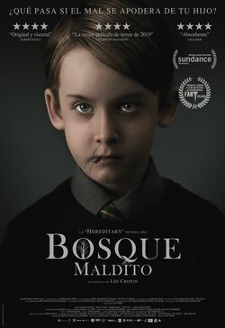 Póster 'Bosque Maldito'