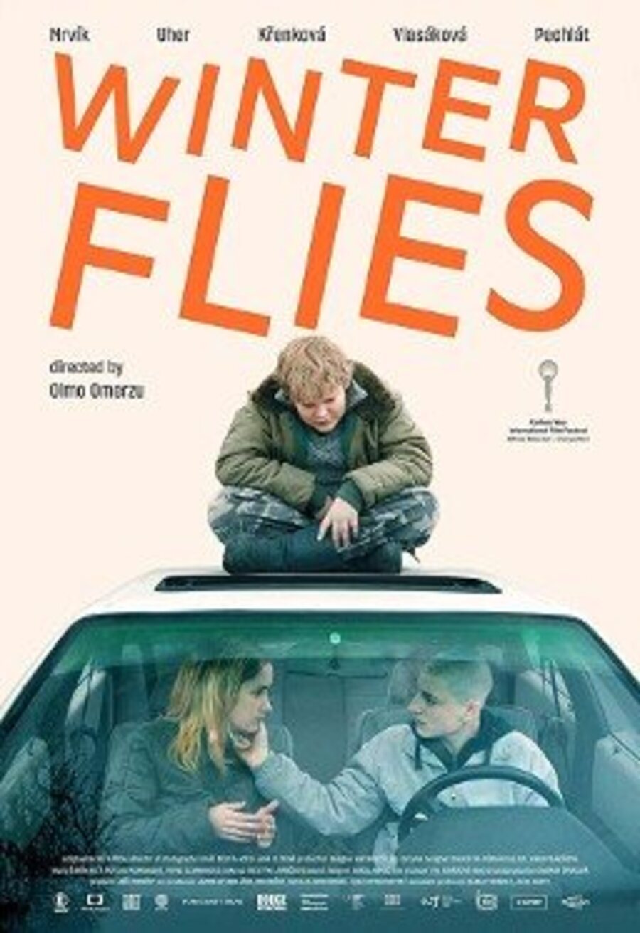 Poster of Winter Flies - Winter flies