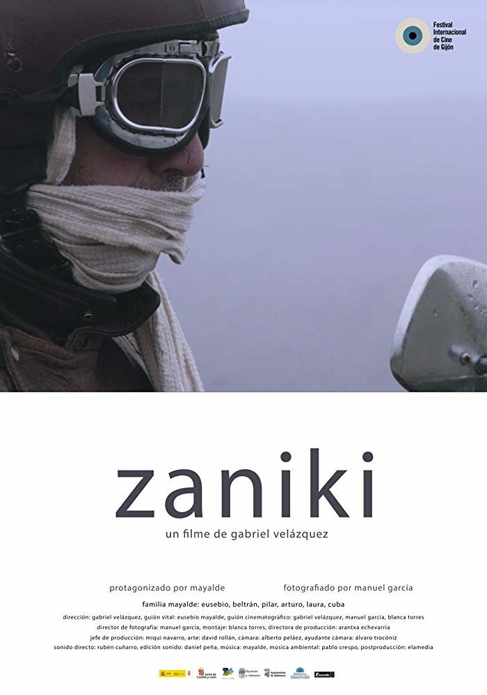 Poster of Zaniki - Zaniki