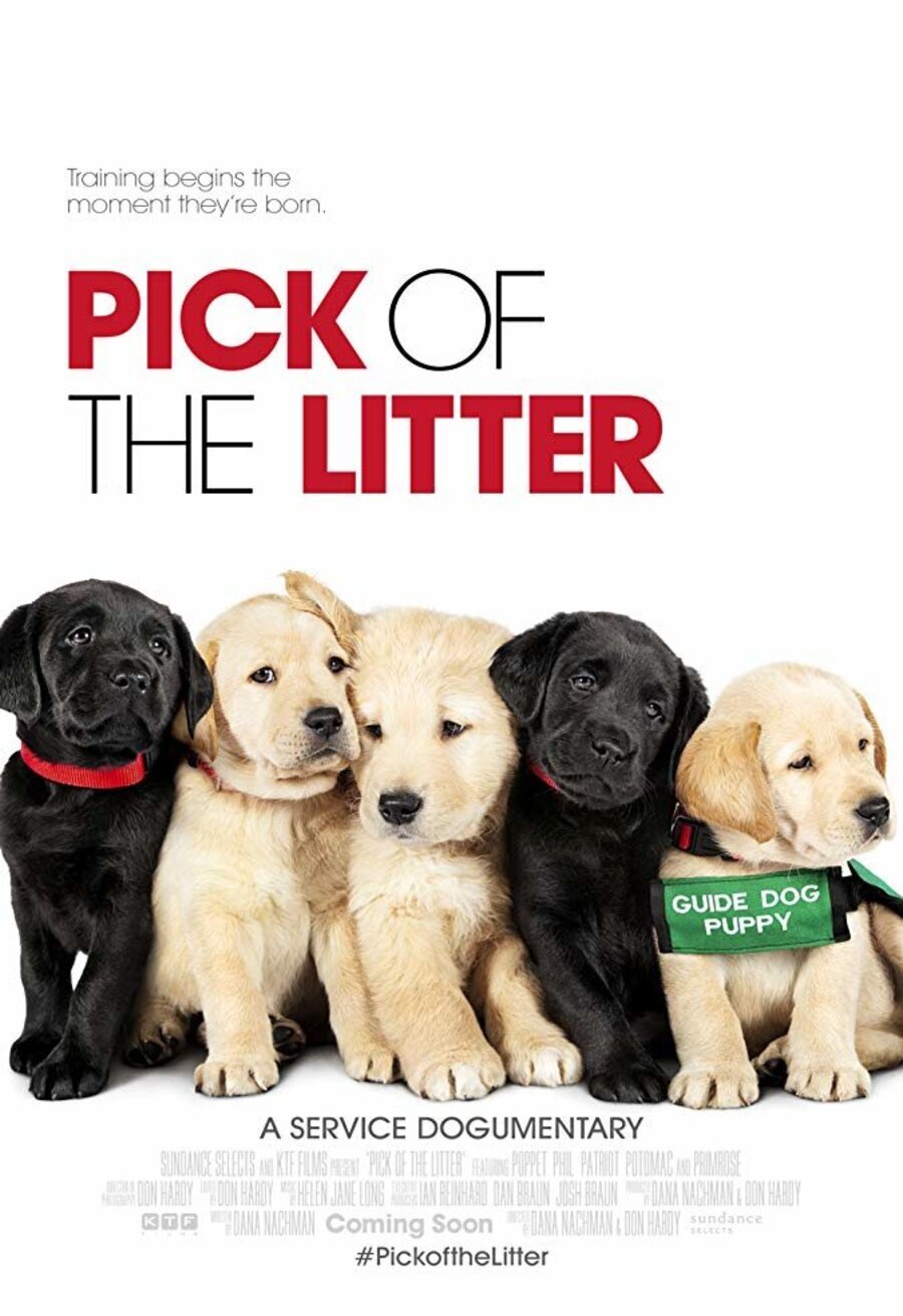 Poster of Pick of the Litter - Pick of the Litter