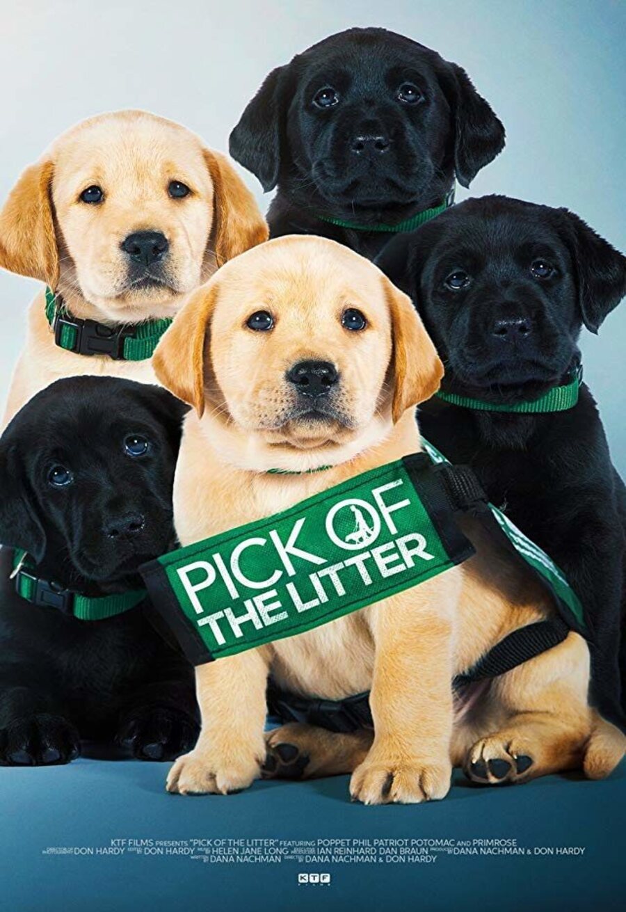 Poster of Pick of the Litter - Pick of the Litter