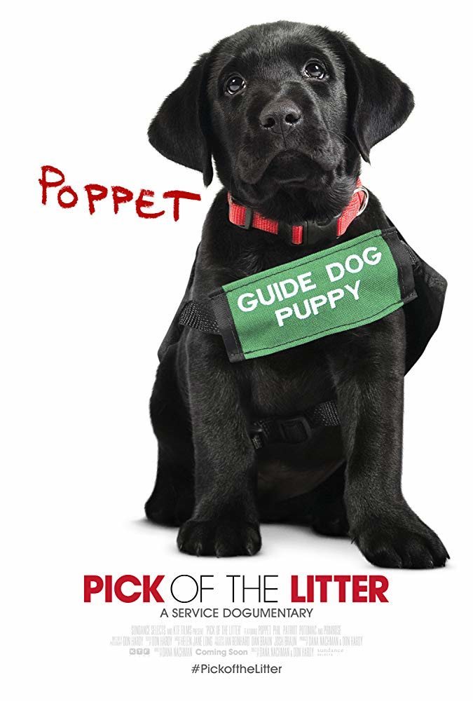 Poster of Pick of the Litter - Pick of the Litter