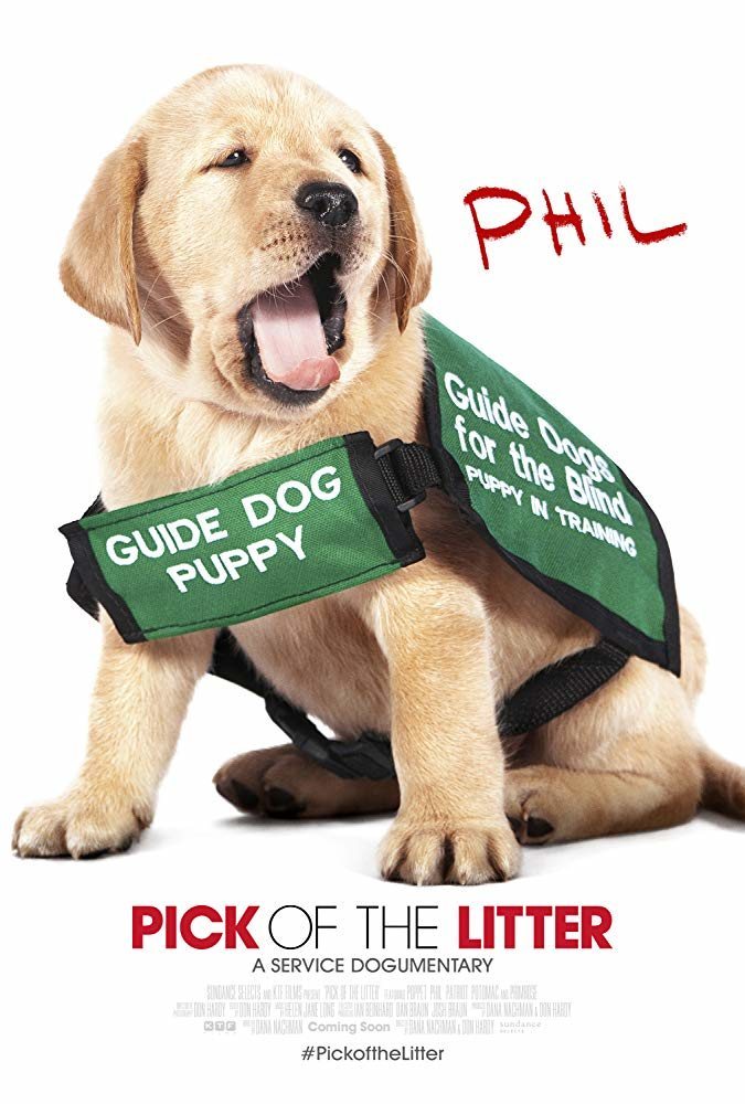 Poster of Pick of the Litter - Pick of the Litter