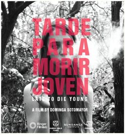 Poster Too Late to Die Young