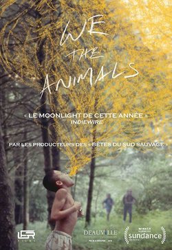 'We The Animals'