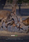 Poster Dehesa, el bosque del lince ibérico