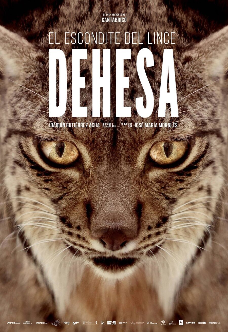 Poster of Dehesa, el bosque del lince ibérico - España