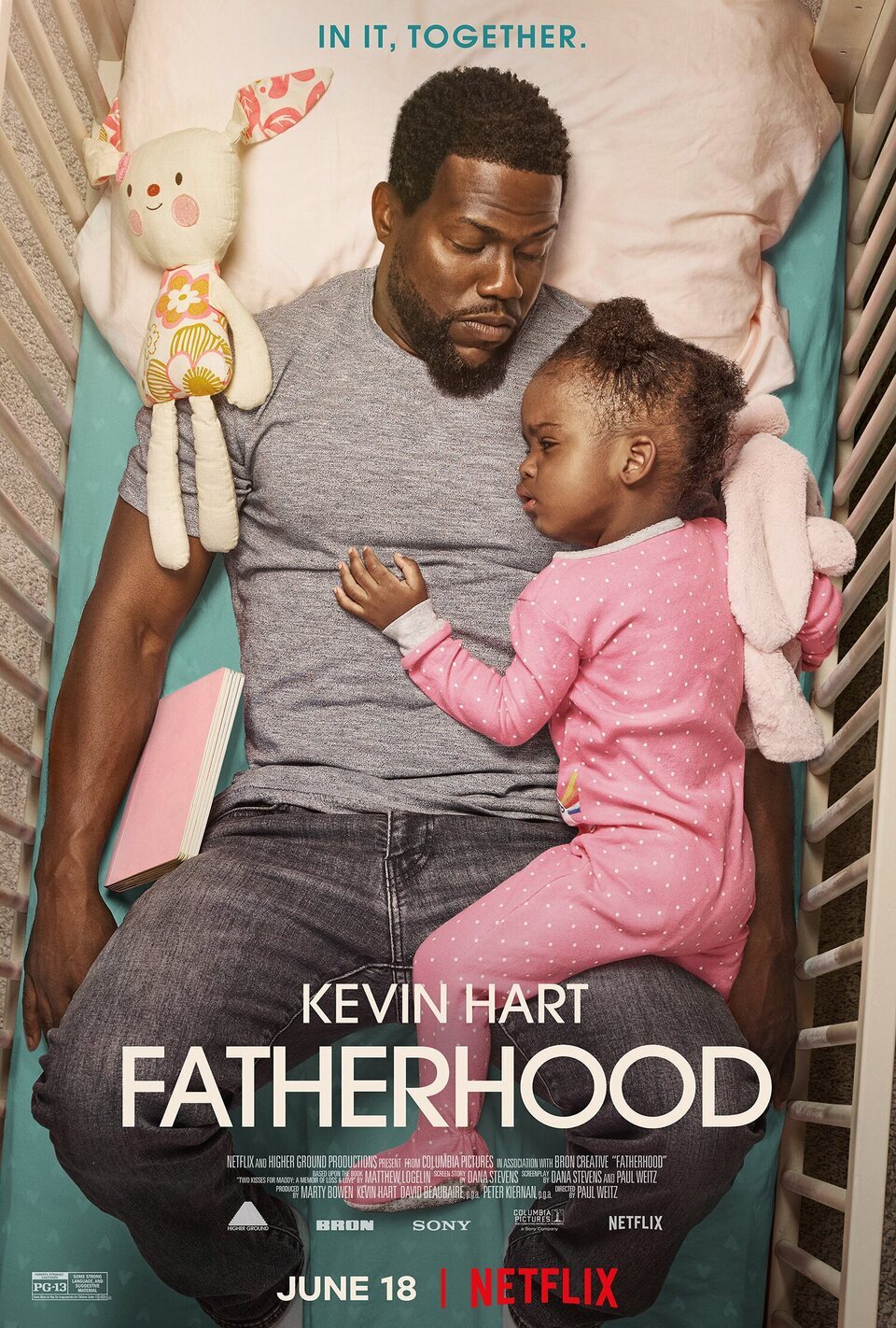 Poster of Fatherhood - Estados Unidos
