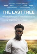 Poster The Last Tree