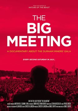 Poster The Big Meeting