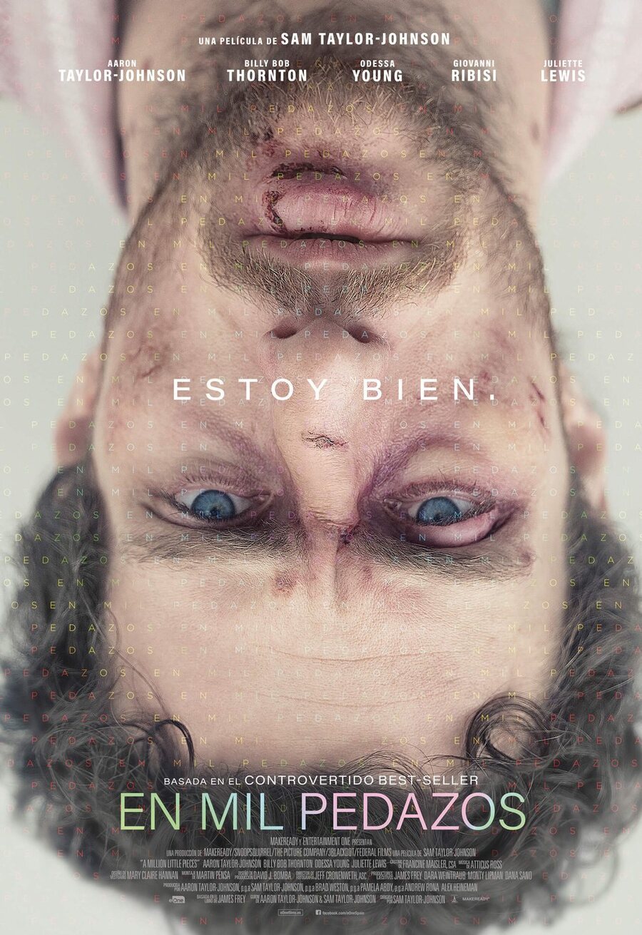 Poster of A Million Little Pieces - Español