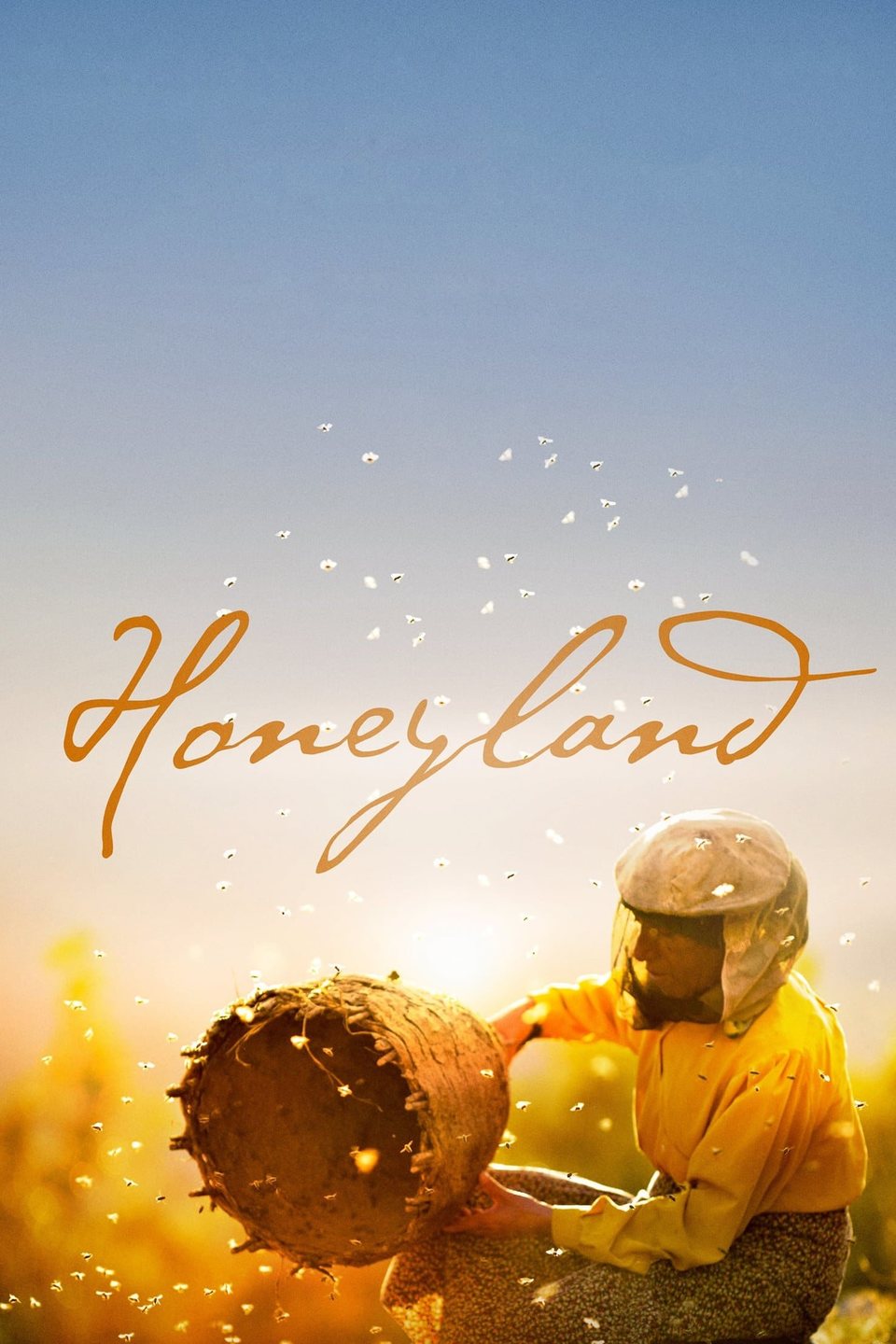 Poster of Honeyland - España