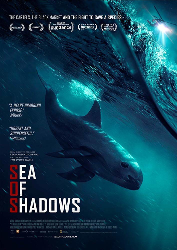 Poster of Sea of Shadows - Póster