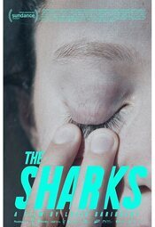 The Sharks