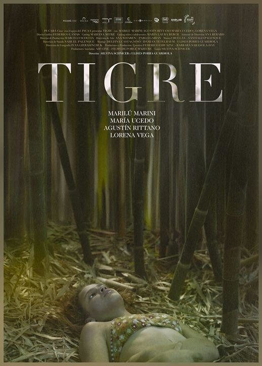 Poster of Tigre - Tigre