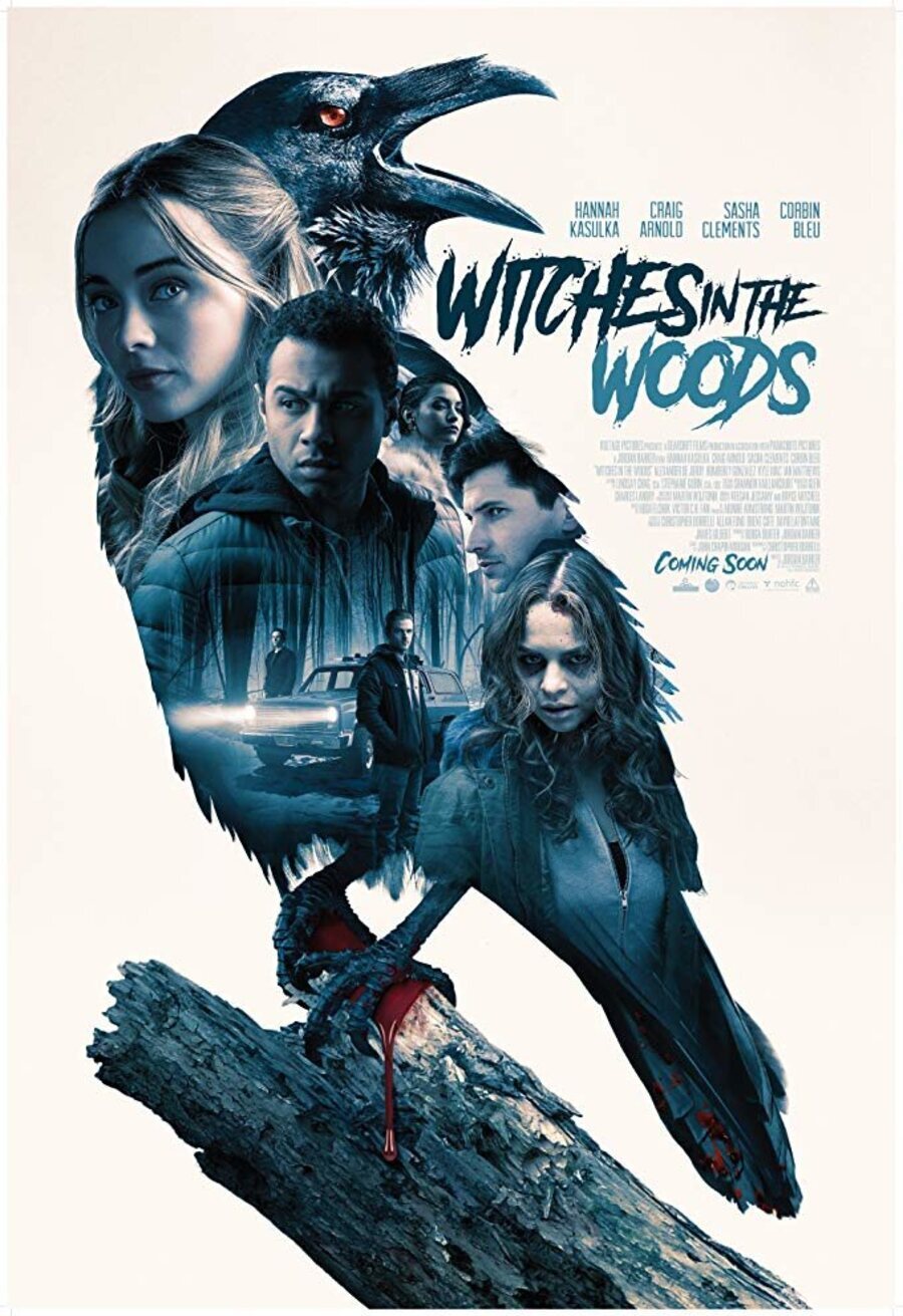 Poster of Witches in the Woods - Witches in the Woods