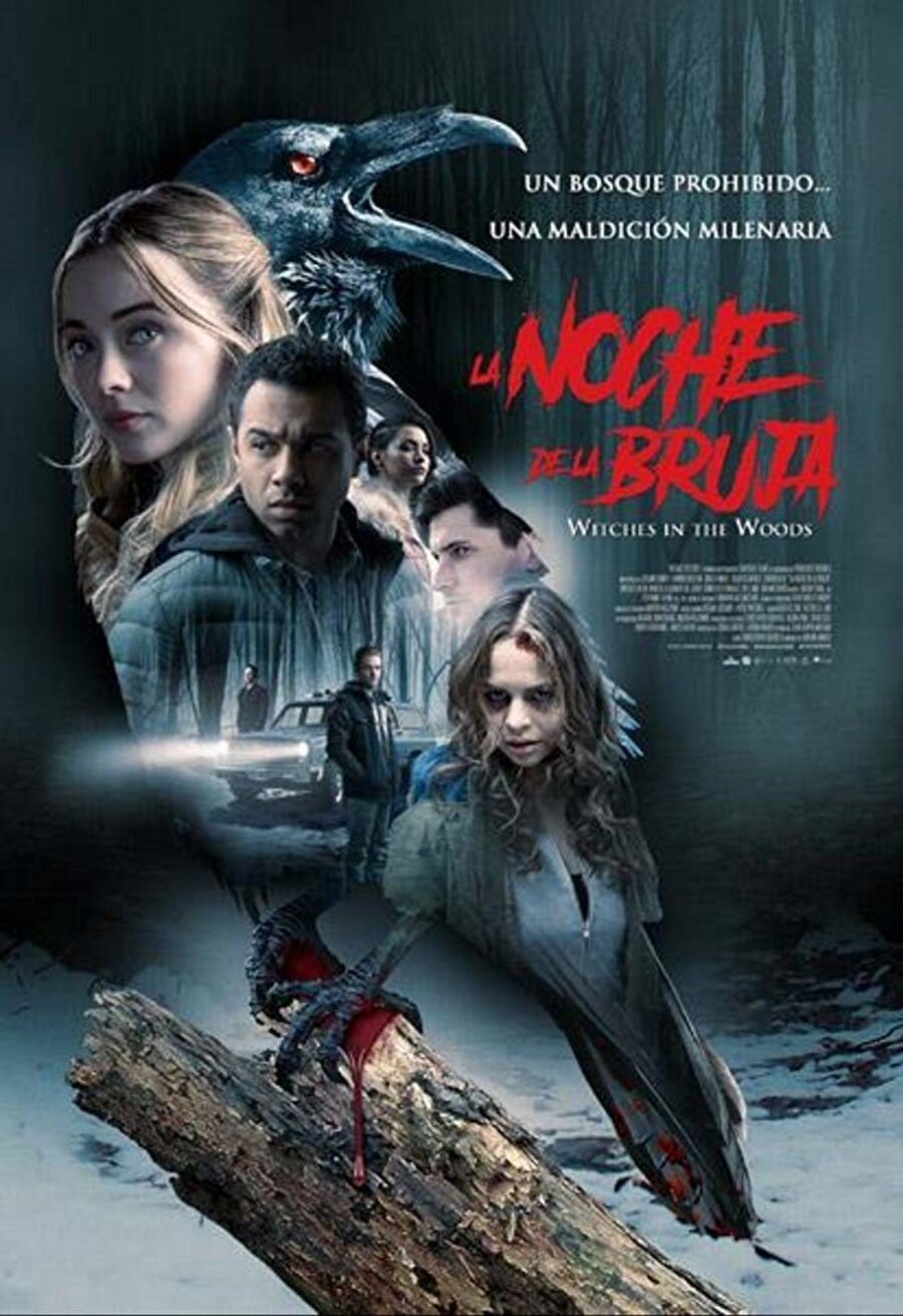 Poster of Witches in the Woods - La noche de la bruja