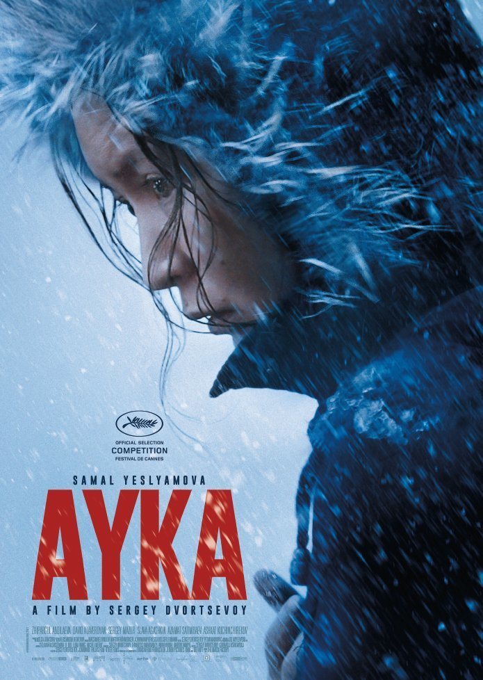 Poster of Ayka - 