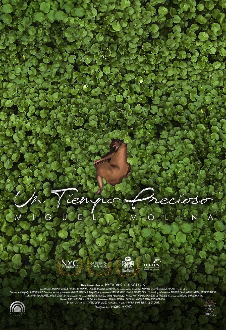 Poster of Un tiempo precioso - España