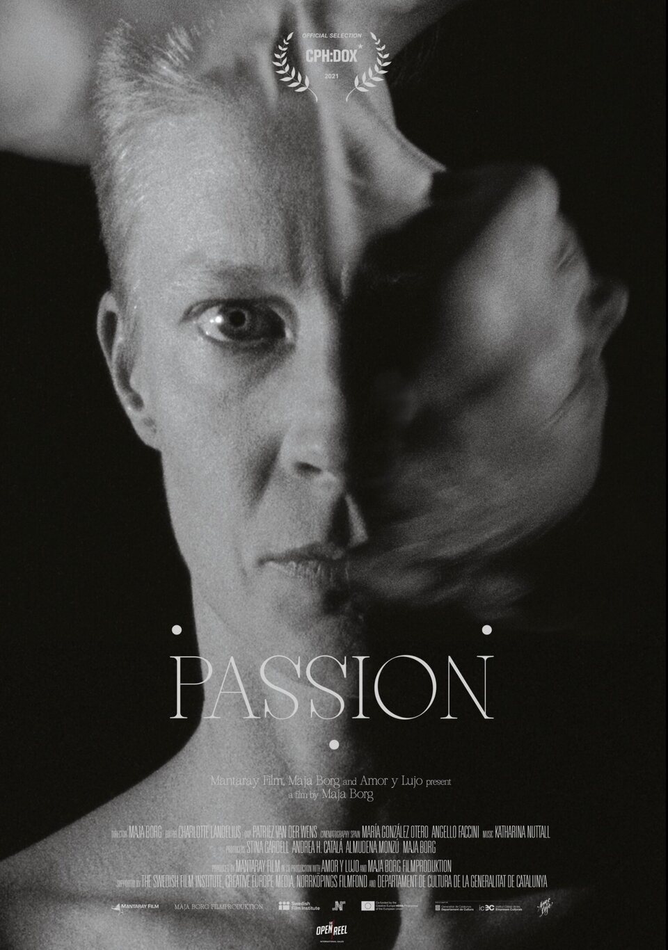 Poster of Passion - INTERNACIONAL